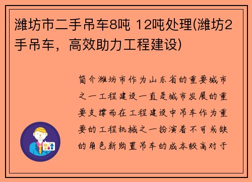 潍坊市二手吊车8吨 12吨处理(潍坊2手吊车，高效助力工程建设)